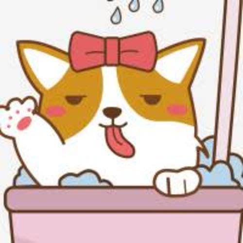 María Dýrasnyrting