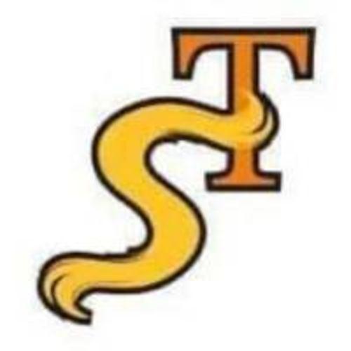 Tiago Santos Hair Studio