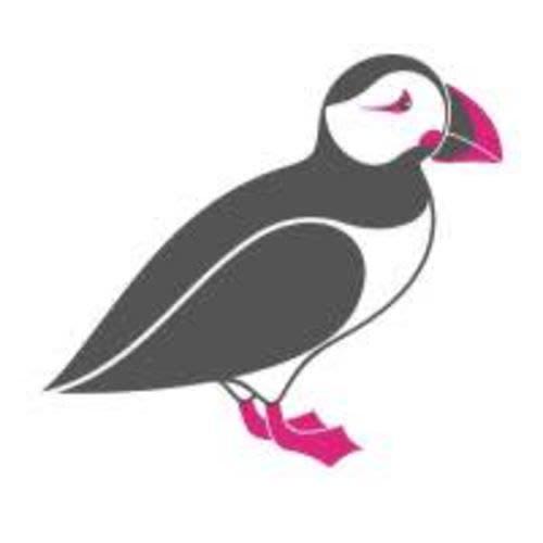 Pink Lundi / Różowy Maskonur - islandzki, angielski, rosyjski