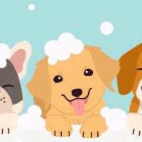 Hundasnyrtistofan Dillirófa