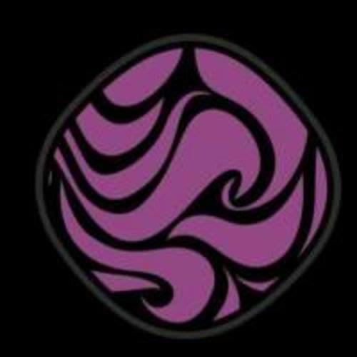 Ana Ferraz Hairstylist