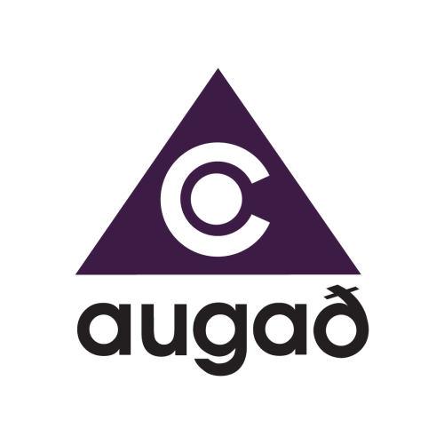 Augað - Sjónmælingar