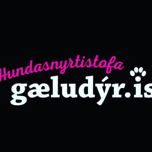 Hundasnyrtistofa Gæludýr.is