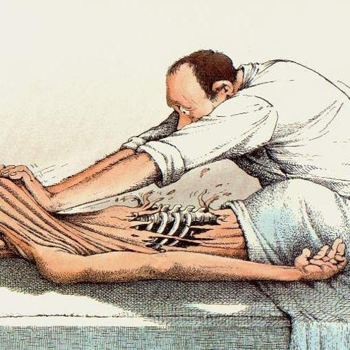 Masáže Sokolíková maserna 208