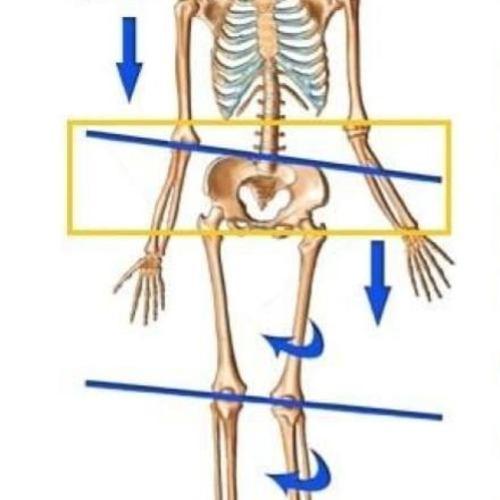 Bowenstofa Sigrúnar
