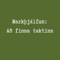 Að finna taktinn - markþjálfun og stjórnendaþjálfun (Sóley Kristjáns)