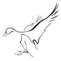 Mačkačka s Kačkou BRNO