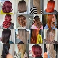 Salon Veronica Jean Paul Mynè