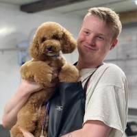 Hundasnyrtistofa Hafnarfjarðar