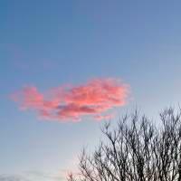 Hlín Bjarna ✨Höfuðbeina- og spjaldhryggsmeðferð