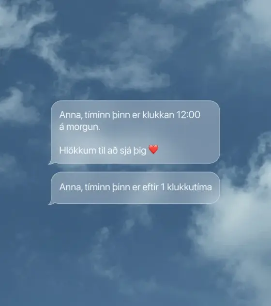Fyrirtækið á sjálfstýringu